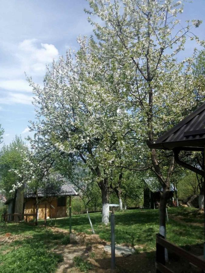 Bungalows Old Town Visoko Eksteriør billede